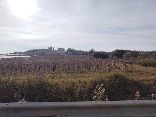terreno agricolo in vendita a Camastra