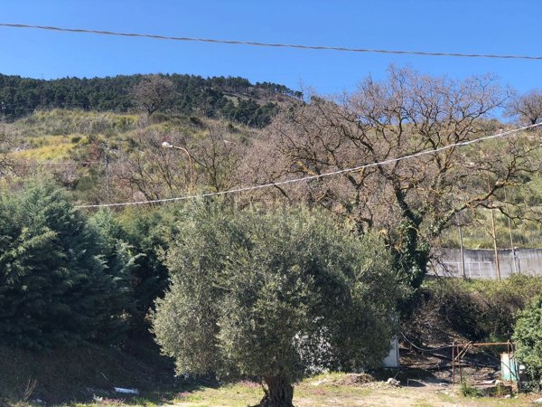 casa indipendente in vendita a Cammarata