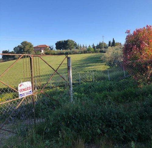 terreno agricolo in vendita a Campobello di Licata