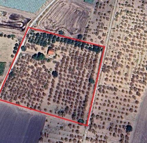 terreno agricolo in vendita a Campobello di Licata