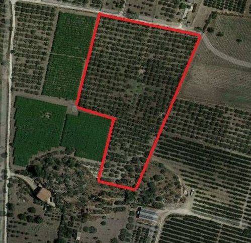 terreno agricolo in vendita a Campobello di Licata
