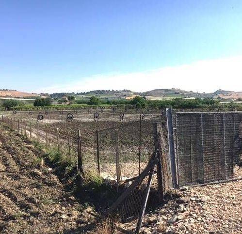 terreno agricolo in vendita a Campobello di Licata