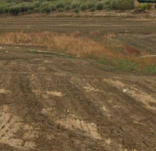 casa indipendente in vendita a Campobello di Licata