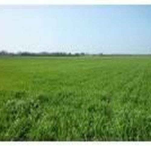 terreno agricolo in vendita a Campobello di Licata