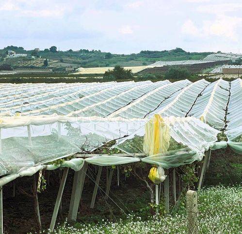 terreno agricolo in vendita a Campobello di Licata