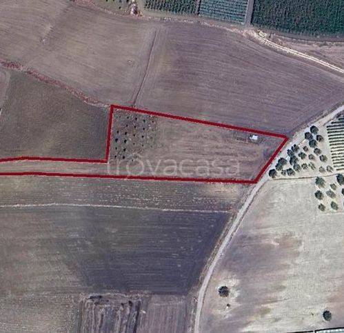 terreno agricolo in vendita a Campobello di Licata