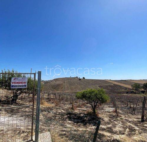 terreno agricolo in vendita a Campobello di Licata
