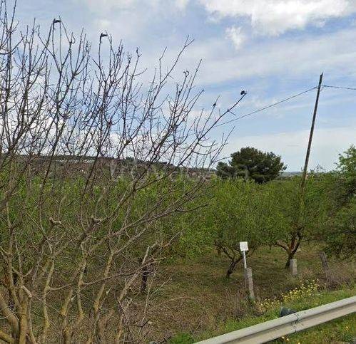 terreno agricolo in vendita a Campobello di Licata