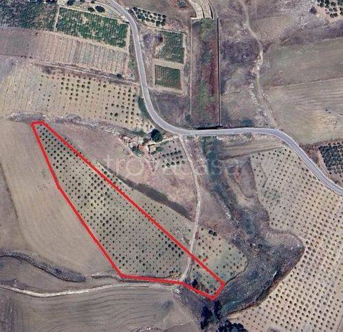 terreno agricolo in vendita a Campobello di Licata
