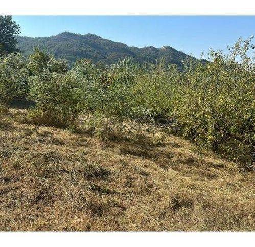 terreno agricolo in vendita a Campobello di Licata