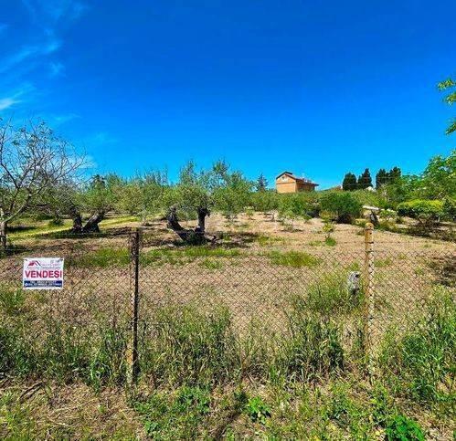 terreno agricolo in vendita a Campobello di Licata