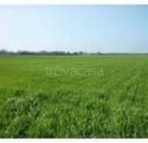 terreno agricolo in vendita a Campobello di Licata