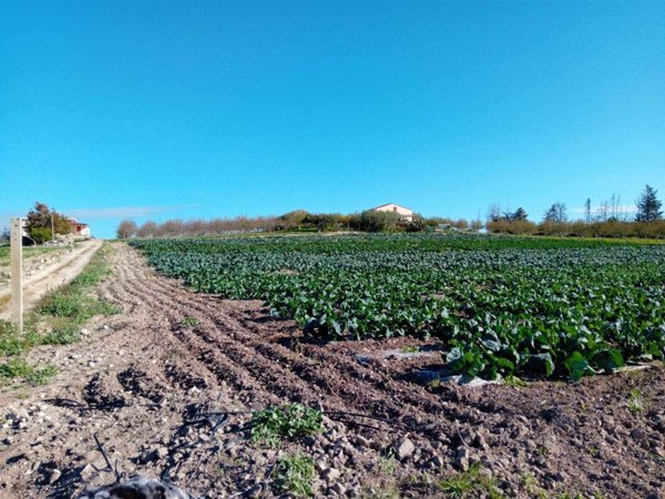 casa indipendente in vendita a Campobello di Licata