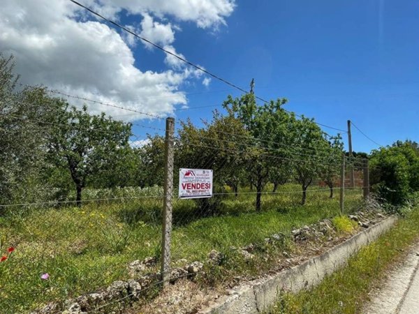 terreno agricolo in vendita a Campobello di Licata
