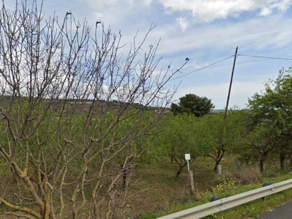 terreno agricolo in vendita a Campobello di Licata