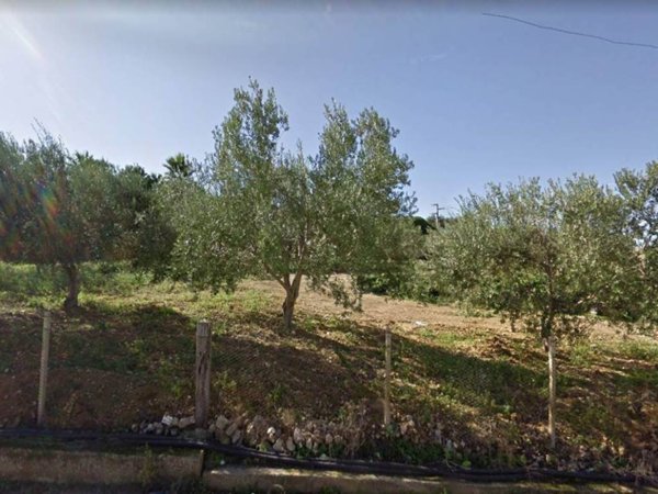 terreno agricolo in vendita a Campobello di Licata