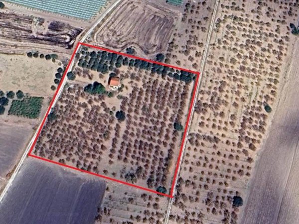 terreno agricolo in vendita a Campobello di Licata