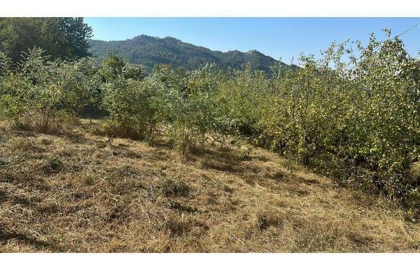 terreno agricolo in vendita a Campobello di Licata