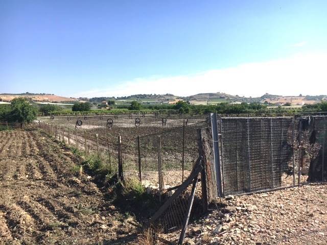 terreno agricolo in vendita a Campobello di Licata