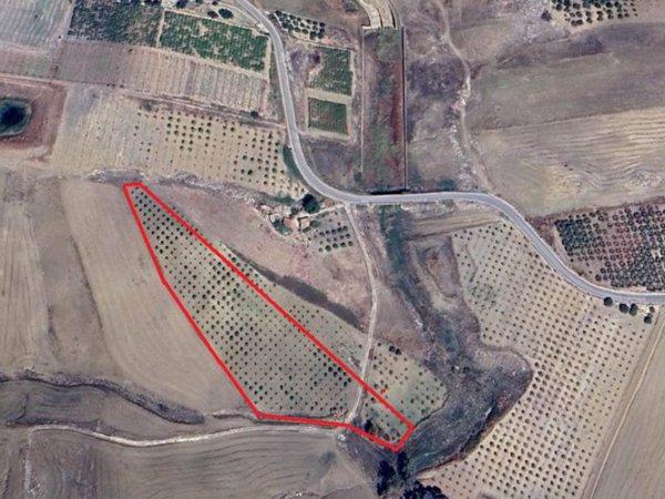 terreno agricolo in vendita a Campobello di Licata