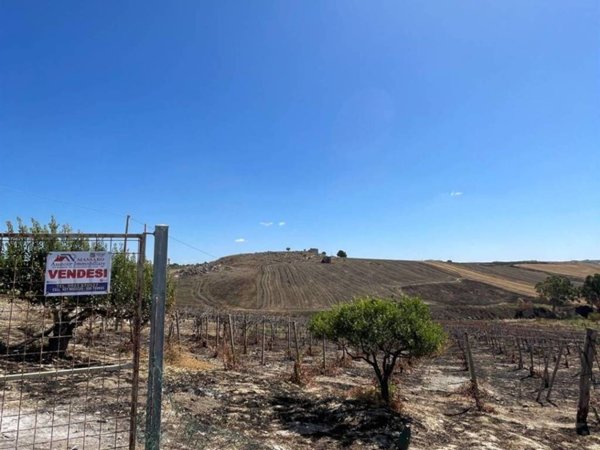terreno agricolo in vendita a Campobello di Licata