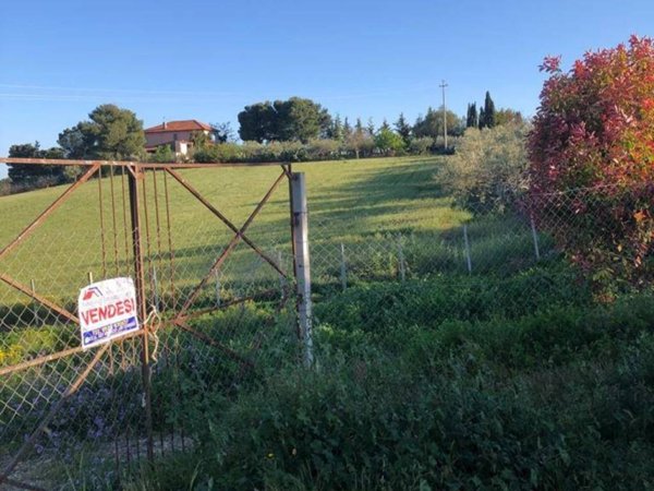 terreno agricolo in vendita a Campobello di Licata
