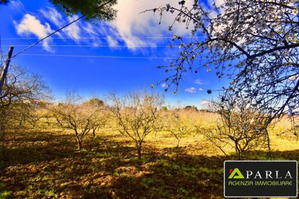 terreno agricolo in vendita a Canicattì