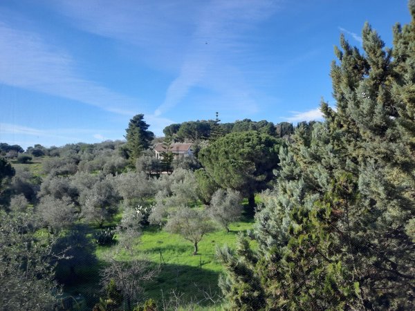 casa indipendente in vendita a Canicattì