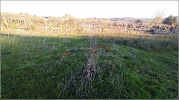 terreno agricolo in vendita a Canicattì