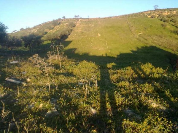 terreno agricolo in vendita a Canicattì