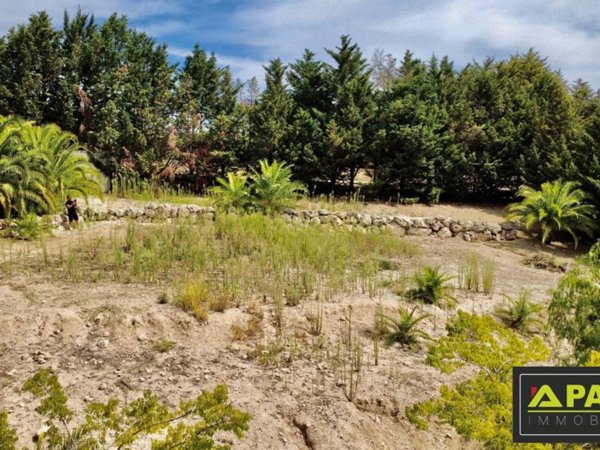 terreno agricolo in vendita a Canicattì