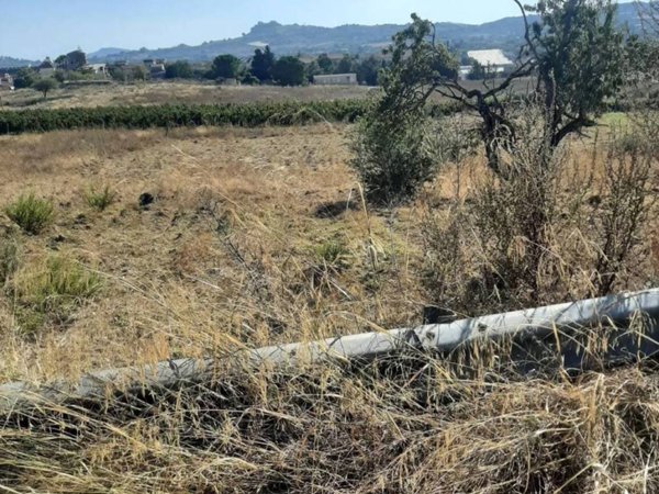 terreno agricolo in vendita a Canicattì