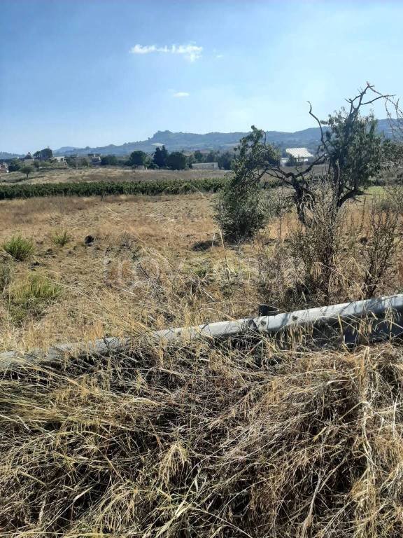 terreno agricolo in vendita a Canicattì