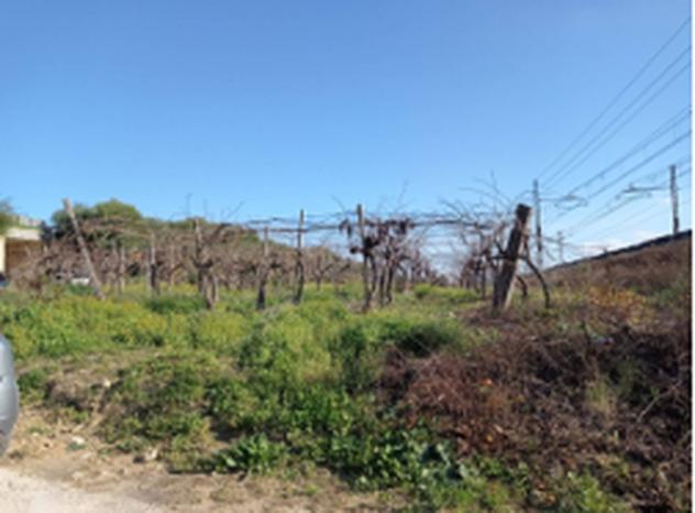 terreno agricolo in vendita a Canicattì