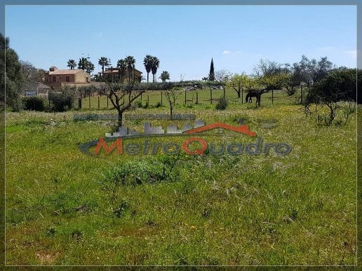 terreno agricolo in vendita a Canicattì