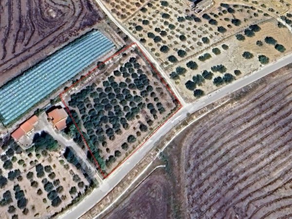 terreno agricolo in vendita a Canicattì