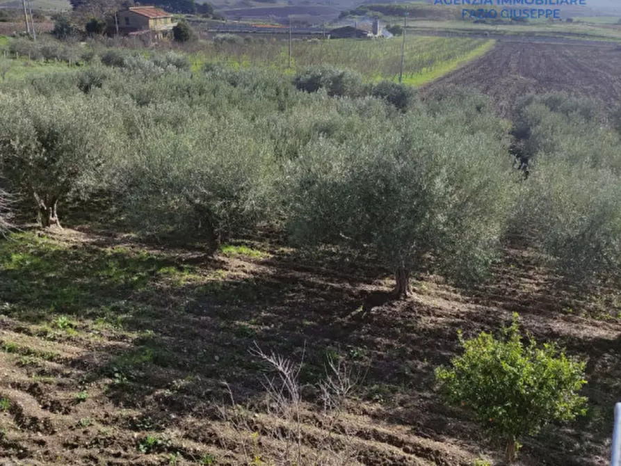 casa indipendente in vendita a Canicattì