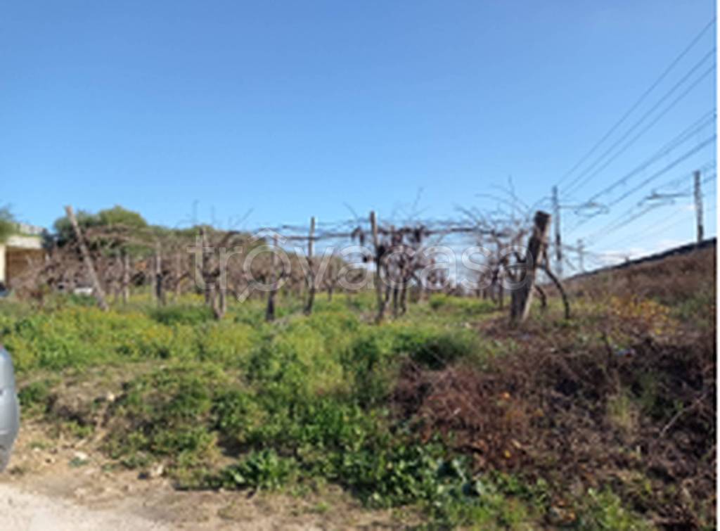 terreno agricolo in vendita a Canicattì
