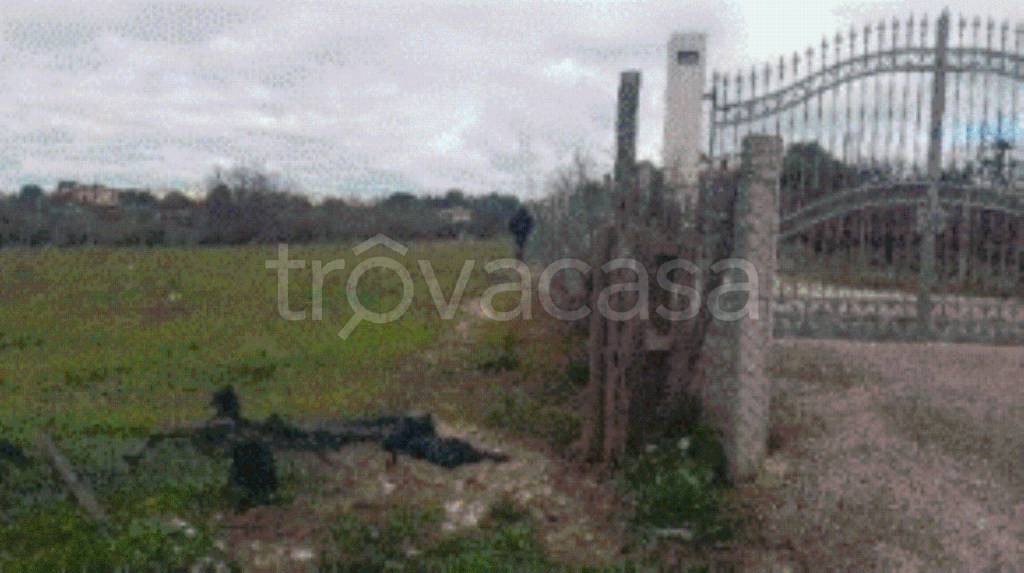 terreno agricolo in vendita a Canicattì