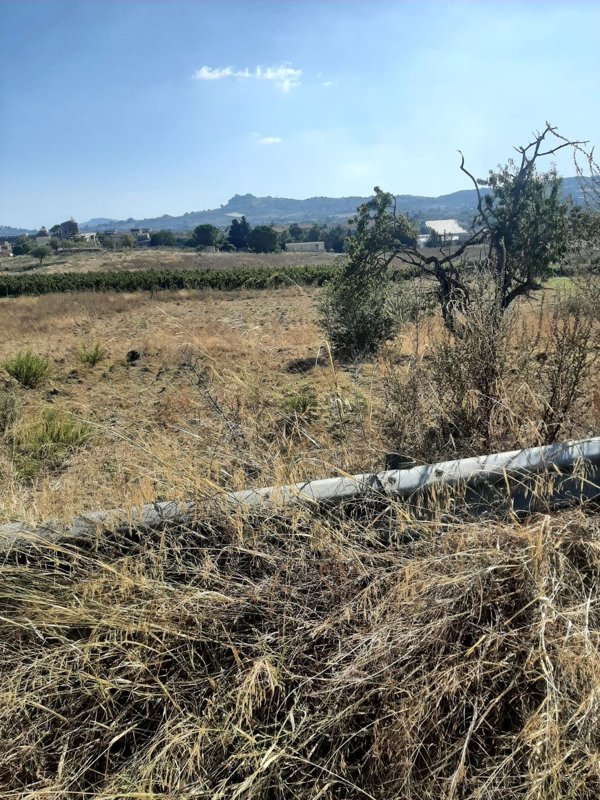 terreno agricolo in vendita a Canicattì