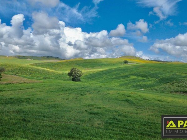 terreno agricolo in vendita a Canicattì