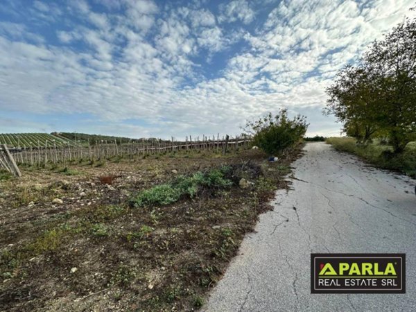 terreno agricolo in vendita a Canicattì