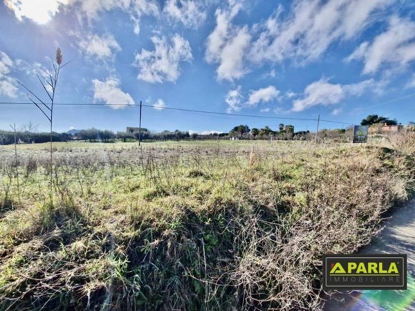 terreno agricolo in vendita a Canicattì