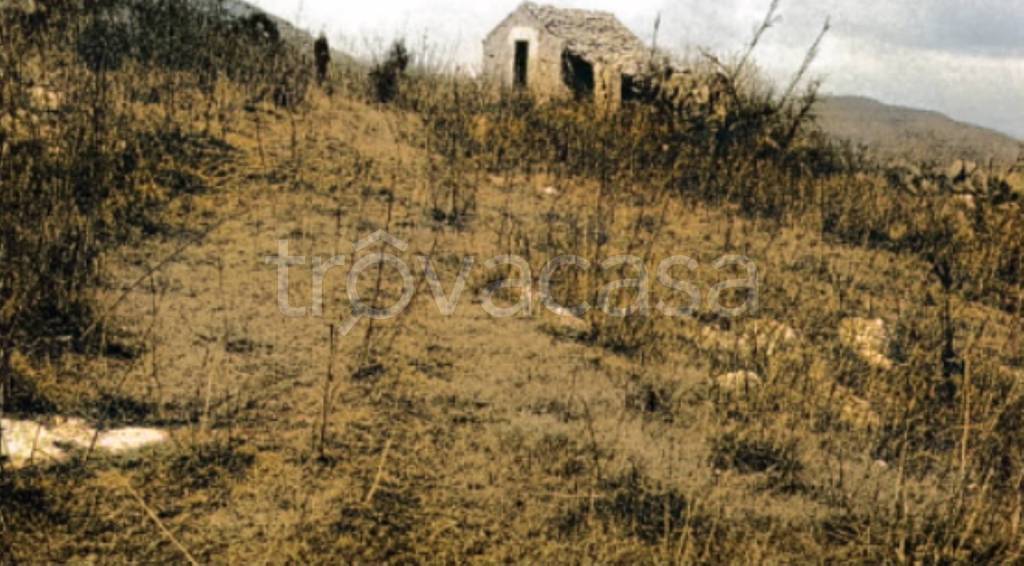 terreno agricolo in vendita a Cattolica Eraclea