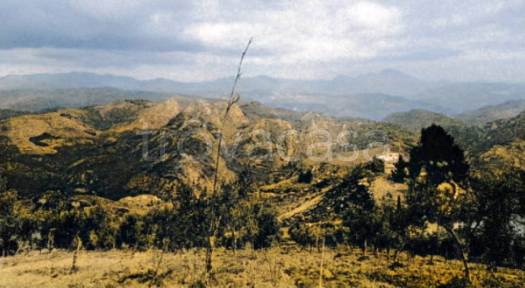 terreno agricolo in vendita a Cattolica Eraclea