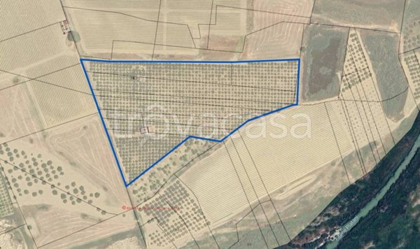 terreno agricolo in vendita a Cattolica Eraclea