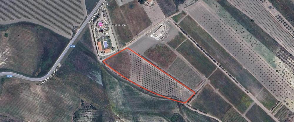 terreno agricolo in vendita a Cattolica Eraclea