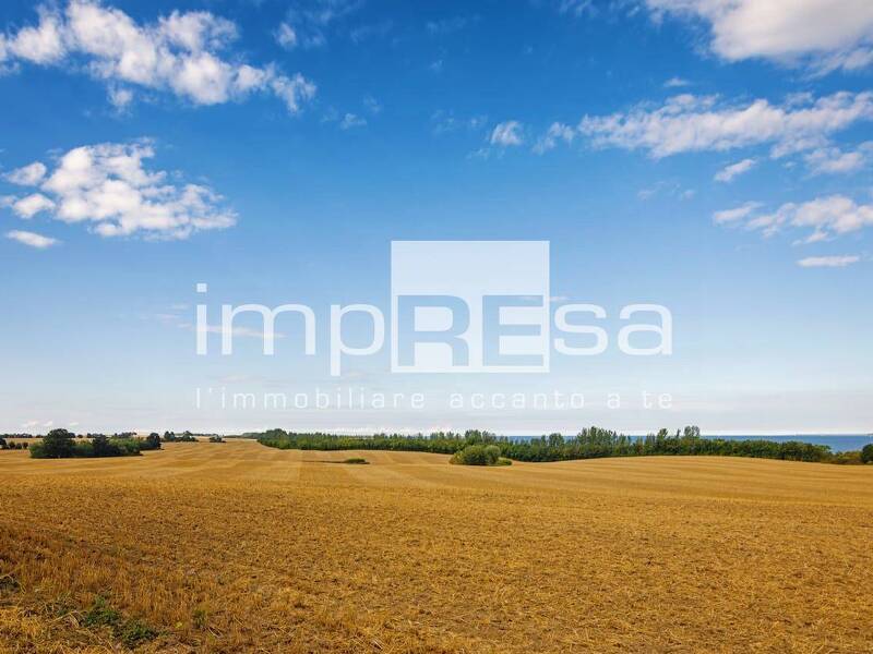 terreno agricolo in vendita a Cattolica Eraclea