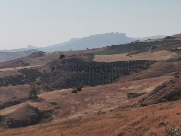 terreno agricolo in vendita a Cianciana