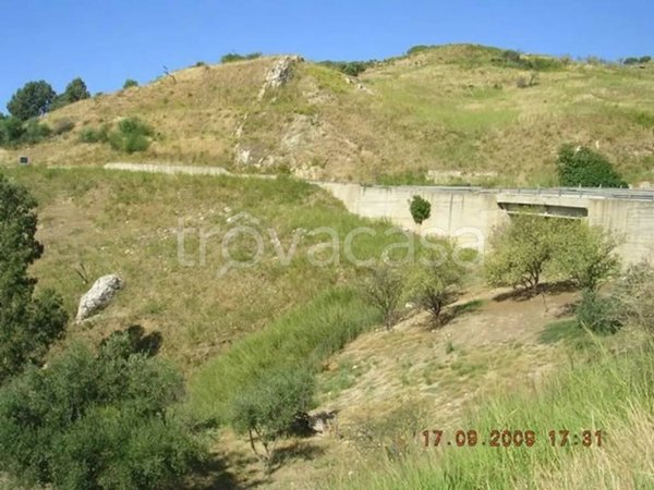 terreno agricolo in vendita a Cianciana